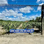 Bán đất full thổ cư Thanh Phú Long Long An 124m², 399 triệu - Ảnh thu nhỏ 5