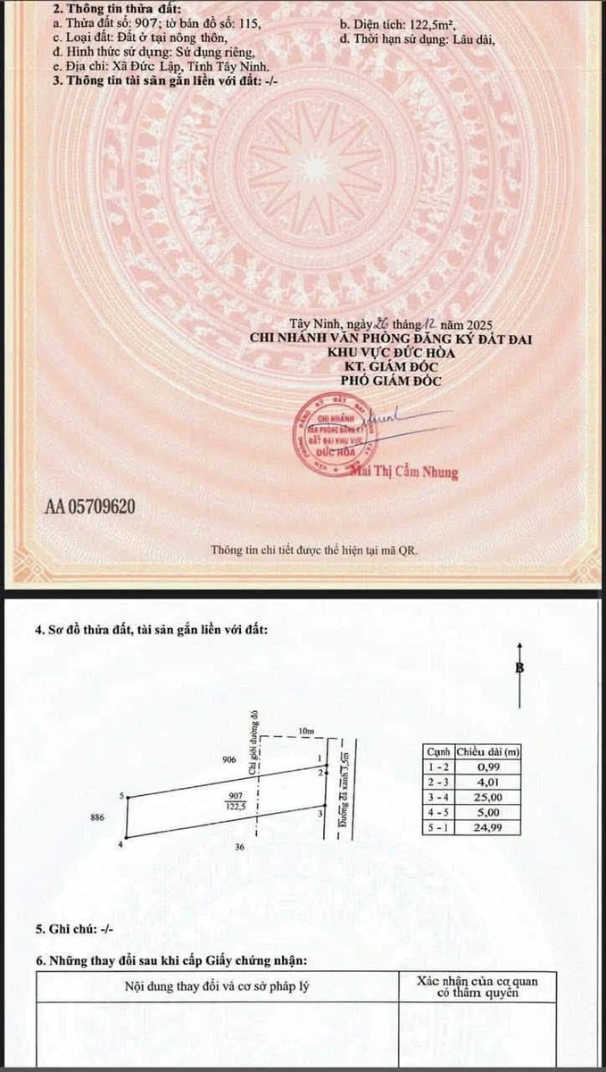 Bán đất nền liền kề 5x25m thổ cư 100% sổ hồng riêng gần Cát Tường Phú Sinh, Đức Hòa, Tây Ninh - Ảnh thu nhỏ 5