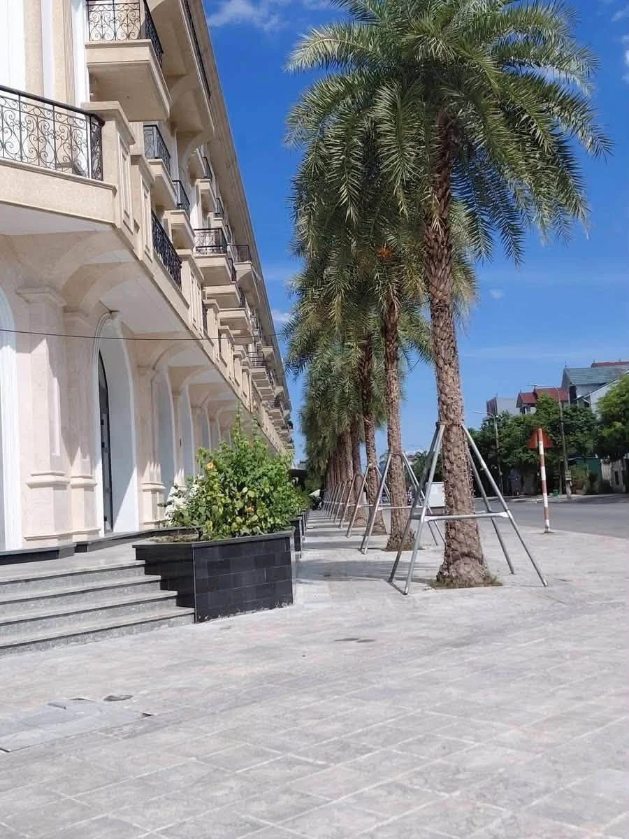 Bán nhà liền kề 4 tầng 542m2 mặt tiền Nguyễn Huy Oánh Hà Tĩnh - Ảnh 1