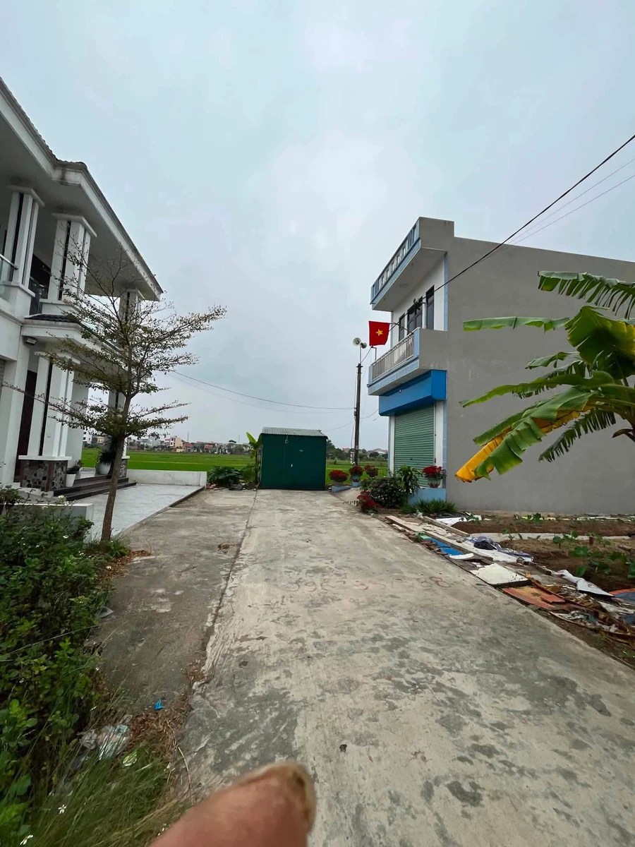 Bán lô đất 90m² hướng Nam tại Hải Phòng - Ảnh thu nhỏ 2