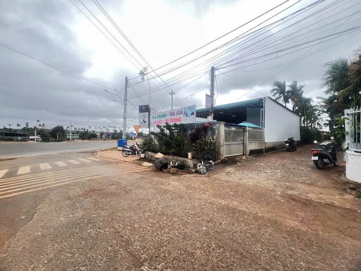 Bán đất hẻm Đại Lộ Đông Tây 230m² Bình Chánh - Ảnh 1