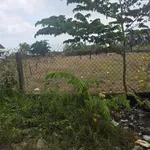 Bán đất 2800m² gần chợ Tân Phong, Tây Ninh - Ảnh thu nhỏ 4