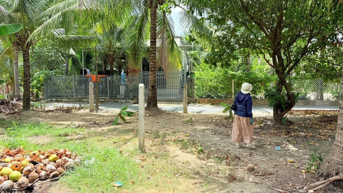 Bán lô đất 118m² Diên Thọ gần HL62, 440 triệu - Ảnh thu nhỏ 5