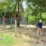 Bán lô đất 118m² Diên Thọ gần HL62, 440 triệu - Ảnh thu nhỏ 5
