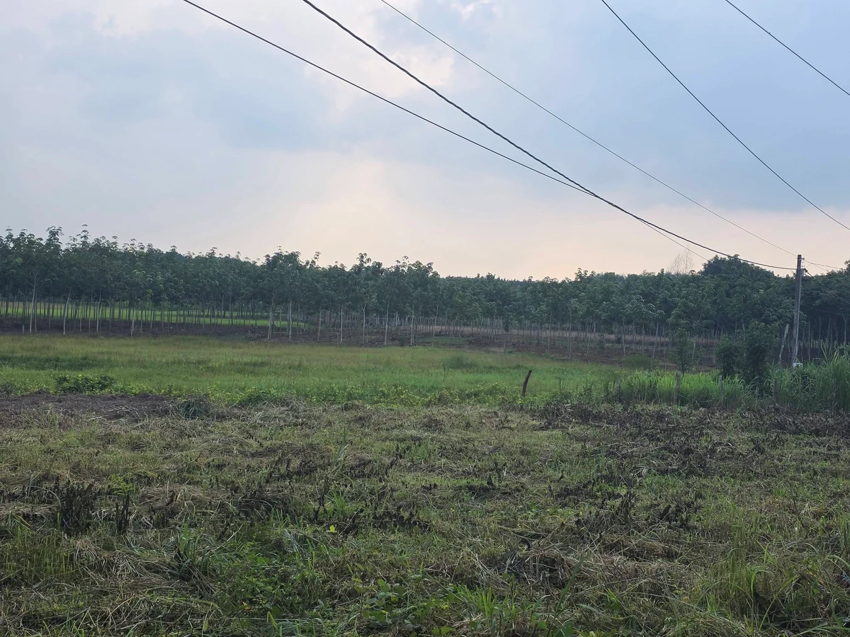 Bán đất 400m² mặt tiền Bù Đốp, Bình Phước - 570 triệu - Ảnh thu nhỏ 2