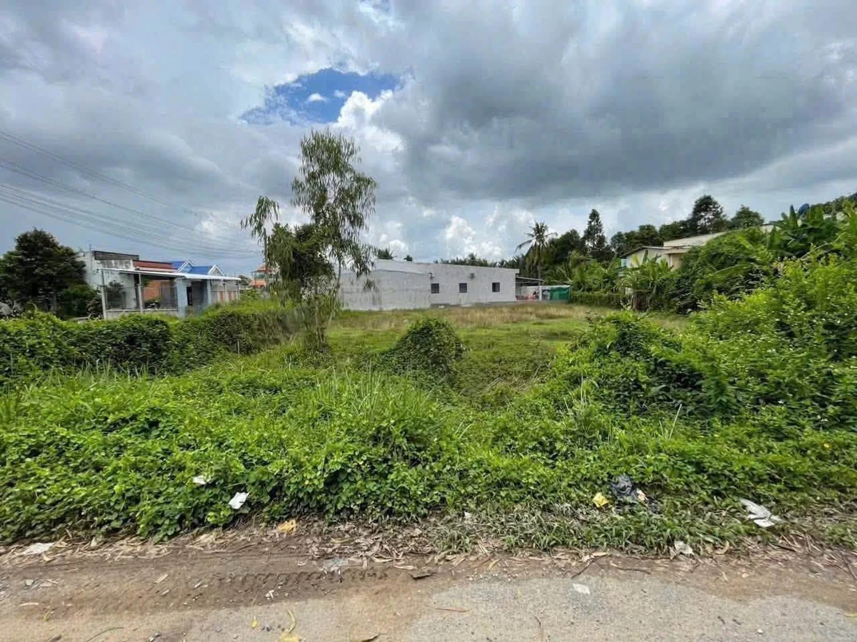 Bán 2 lô đất mặt tiền Đinh Viết Cừu, Long An, 140m2 - Ảnh thu nhỏ 2
