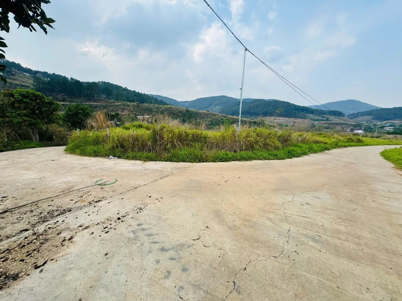 Bán đất 929m2 xã Nam Ban Lâm Hà 1.15 tỷ
