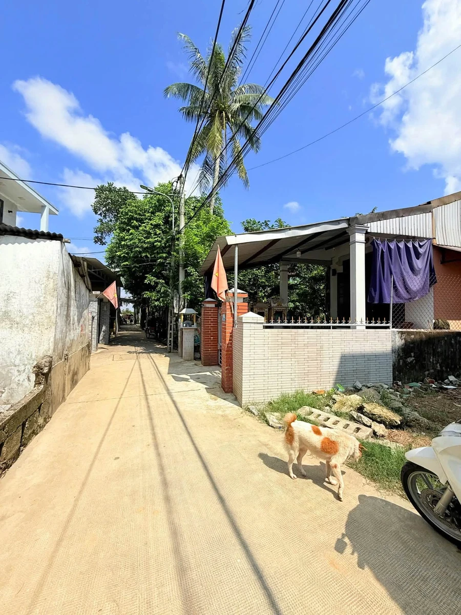Bán đất kiệt Oto 100m² Chi Lăng, Phú Hậu, TP Huế 1,1 tỷ - Ảnh thu nhỏ 2