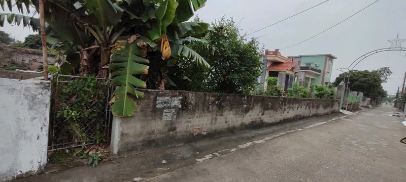 Bán đất Tân Trào Nam 177 m² Thái Bình giá 1 tỷ 6