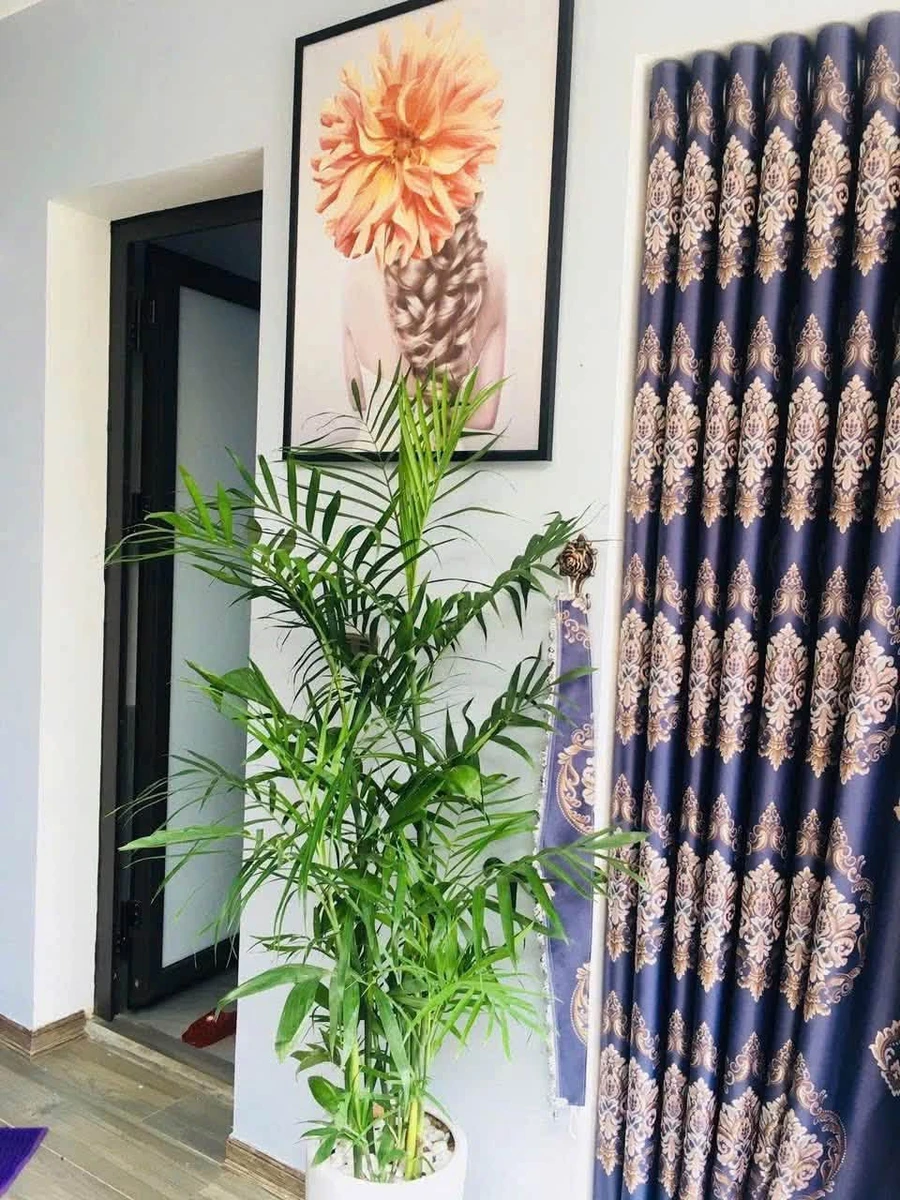 Bán nhà mặt tiền Cao Xuân Dục 100m² 3 phòng ngủ 7,1 tỷ - Ảnh thu nhỏ 4