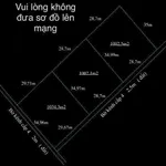 Bán lô đất vườn 1000m² tại Thủ Thừa, Long An - Ảnh thu nhỏ 3