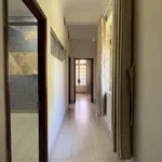 Cho thuê MBKD 250m2 đường Cách mạng tháng 8, Thủ Dầu Một - Ảnh thu nhỏ 5
