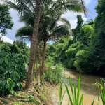 Bán đất nông nghiệp 1 hectare café sầu riêng Cư Mgar - Ảnh thu nhỏ 1