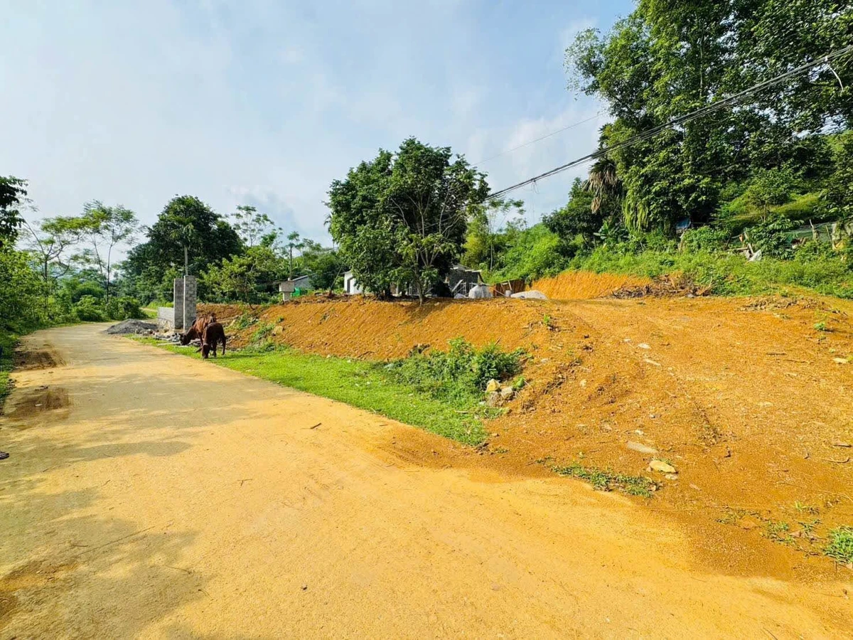Bán đất 358m² view cánh đồng Kim Bôi Hòa Bình - Ảnh thu nhỏ 2