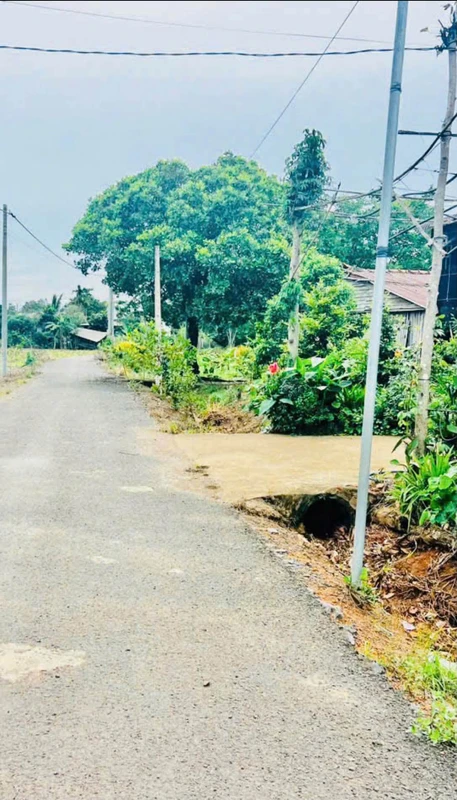 Bán lô đất Hoà Hiệp, Xuyên Mộc 959m2, giá 1 tỷ 250 triệu