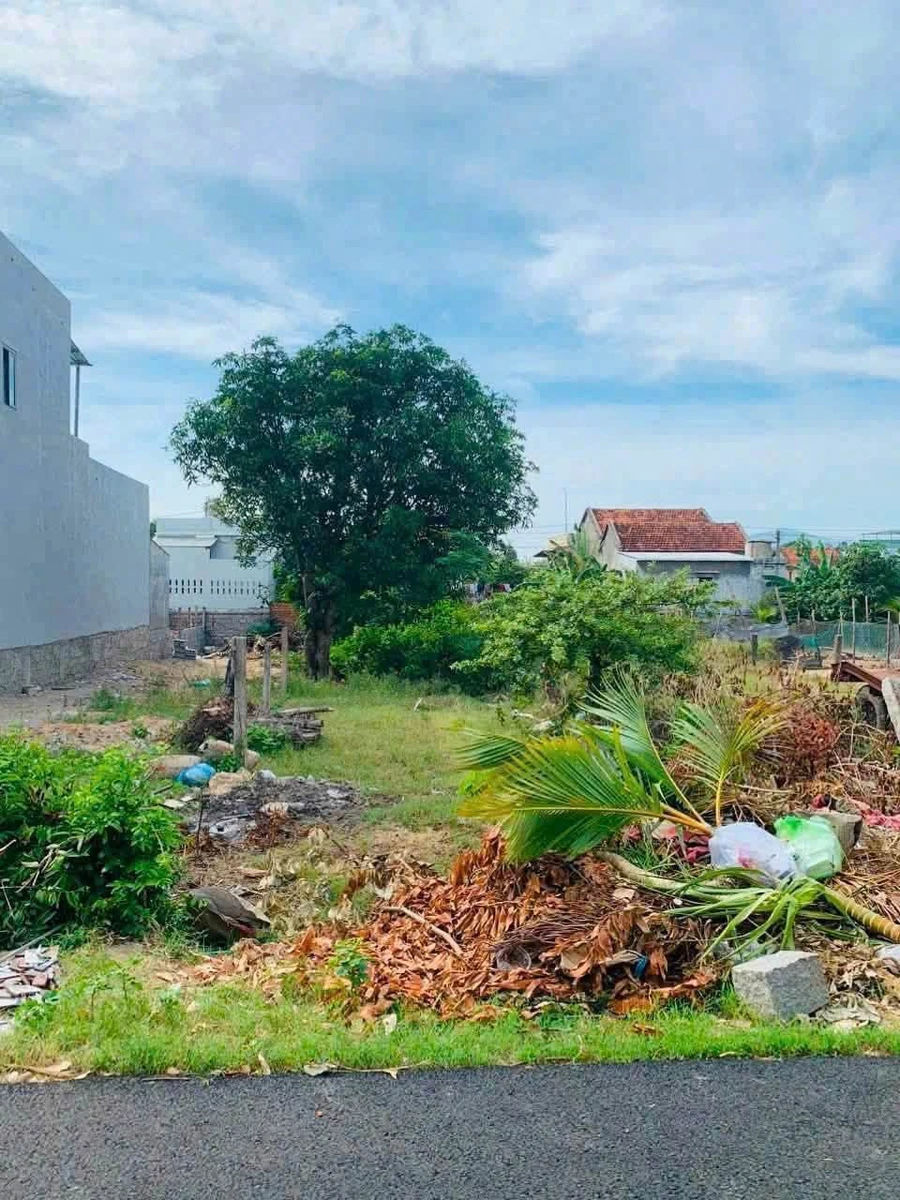 Bán đất mặt tiền Lê Hanh 206m² Đắk Lắk - Ảnh thu nhỏ 2