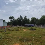 Bán lô đất vườn 1000m² có nhà 2PN, Thiện Nghiệp, 1.8 tỷ - Ảnh thu nhỏ 3