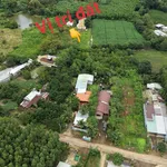 Bán đất Cẩm Mỹ Đồng Nai 850 triệu - Ảnh thu nhỏ 2