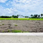 Bán đất góc 2 mặt tiền Tỉnh Lộ 833, 185m² ở Tân Trụ - Ảnh thu nhỏ 1
