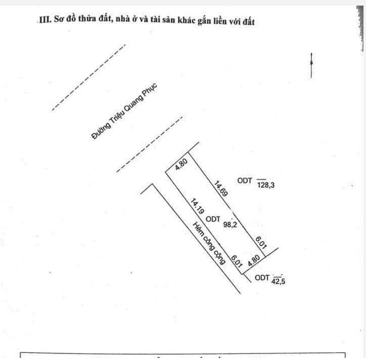 Bán nền mặt tiền 98.2m2 Triệu Quang Phục, An Giang - Ảnh thu nhỏ 2
