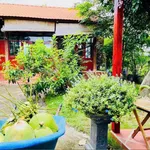 Bán nhà vườn 1.333m² Thôn 5 Hàm Liêm 1tỷ 600tr - Ảnh thu nhỏ 3