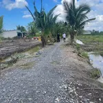 Bán đất vườn 1000 m² tại Thủ Thừa, Long An - Ảnh thu nhỏ 4