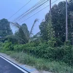 Bán đất thổ cư Phú An 570m² mặt tiền 12m - Ảnh thu nhỏ 1
