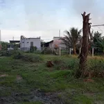 Bán đất vườn 1.300m² view đồng lúa gần Hồ Tràm - Ảnh thu nhỏ 2