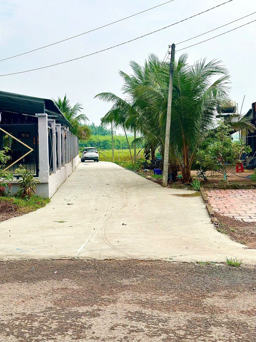 Bán đất thổ cư 130m² Lộc Trung Tây Ninh giá 3xx triệu - Ảnh thu nhỏ 4