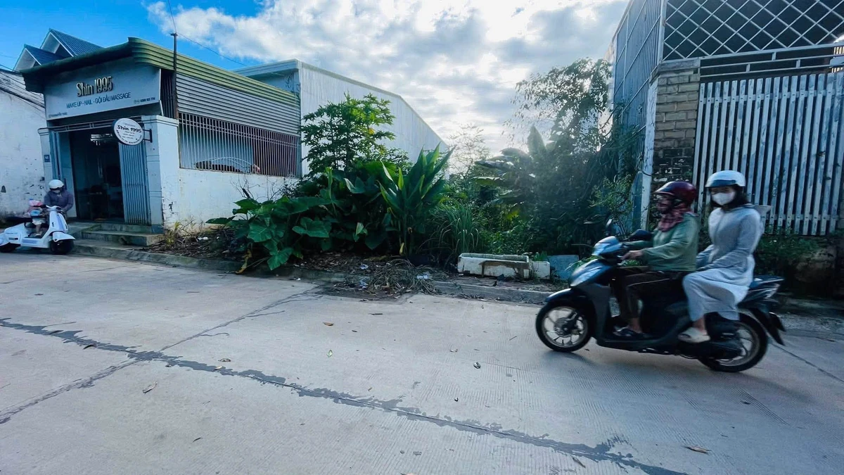 Bán đất mặt tiền Nguyễn Trác Tân Lợi 50m2 giá 4tỷ2 - Ảnh thu nhỏ 2