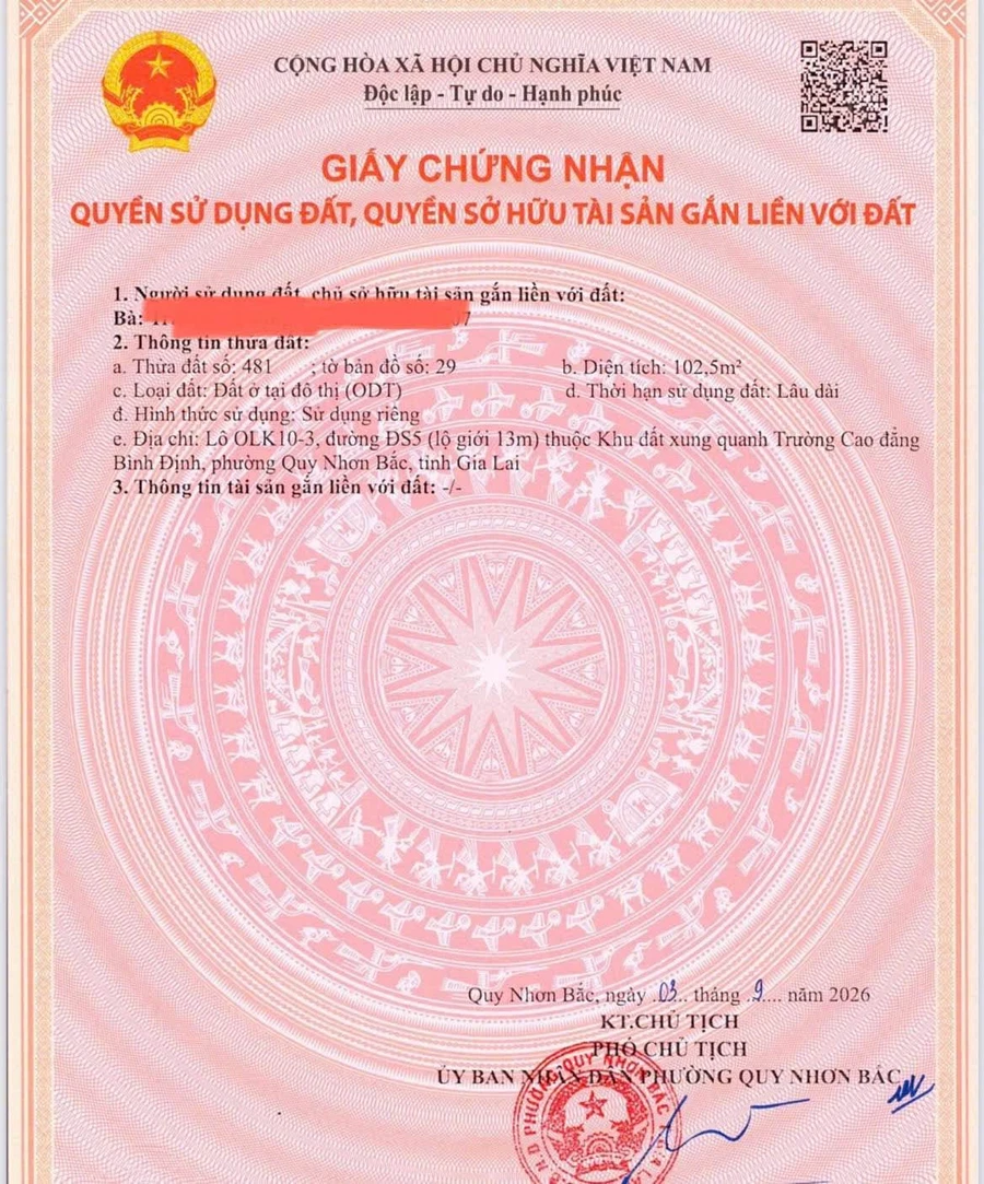 Bán đất 102.5m2 gần Trường Cao Đẳng Bình Định, 1 tỷ 9 - Ảnh thu nhỏ 3