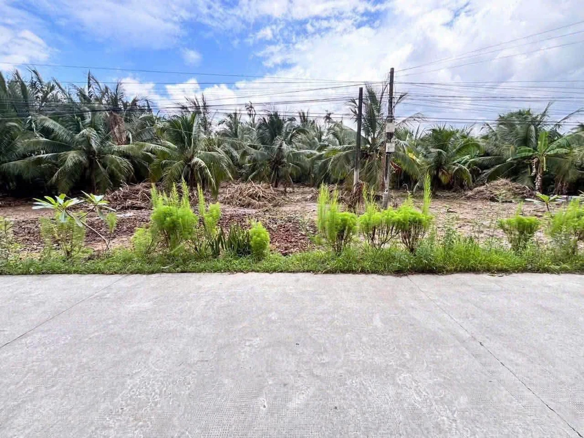 Bán đất mặt tiền Mỹ Thạnh, Nhà Bè, 1336m2 - Ảnh thu nhỏ 3