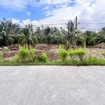 Bán đất mặt tiền Mỹ Thạnh, Nhà Bè, 1336m2 - Ảnh thu nhỏ 3