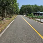Bán đất Nhựa Tân Bình 2025 m², 4 tỷ - Ảnh thu nhỏ 5