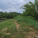 Bán đất 1 sào 8 cây tại kp Phú Điền, Bình Thuận - Ảnh thu nhỏ 2