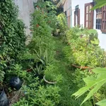 Bán thổ cư nền 70m2 mặt tiền kênh chợ 520 triệu - Ảnh thu nhỏ 2