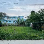 Vườn ngay trung tâm TP, ngay quảng trường sau lưng bệnh viện TP, giá tốt - Ảnh thu nhỏ 7