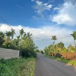 Bán đất mặt tiền Quang Trung 2 sào, Bình Chánh - Ảnh thu nhỏ 2