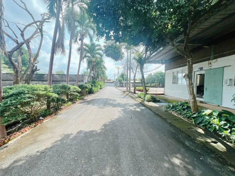 Cho thuê xưởng chế biến nông sản 20.000m² Đồng Nai