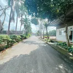 Cho thuê xưởng chế biến nông sản 20.000m² Đồng Nai - Ảnh thu nhỏ 1