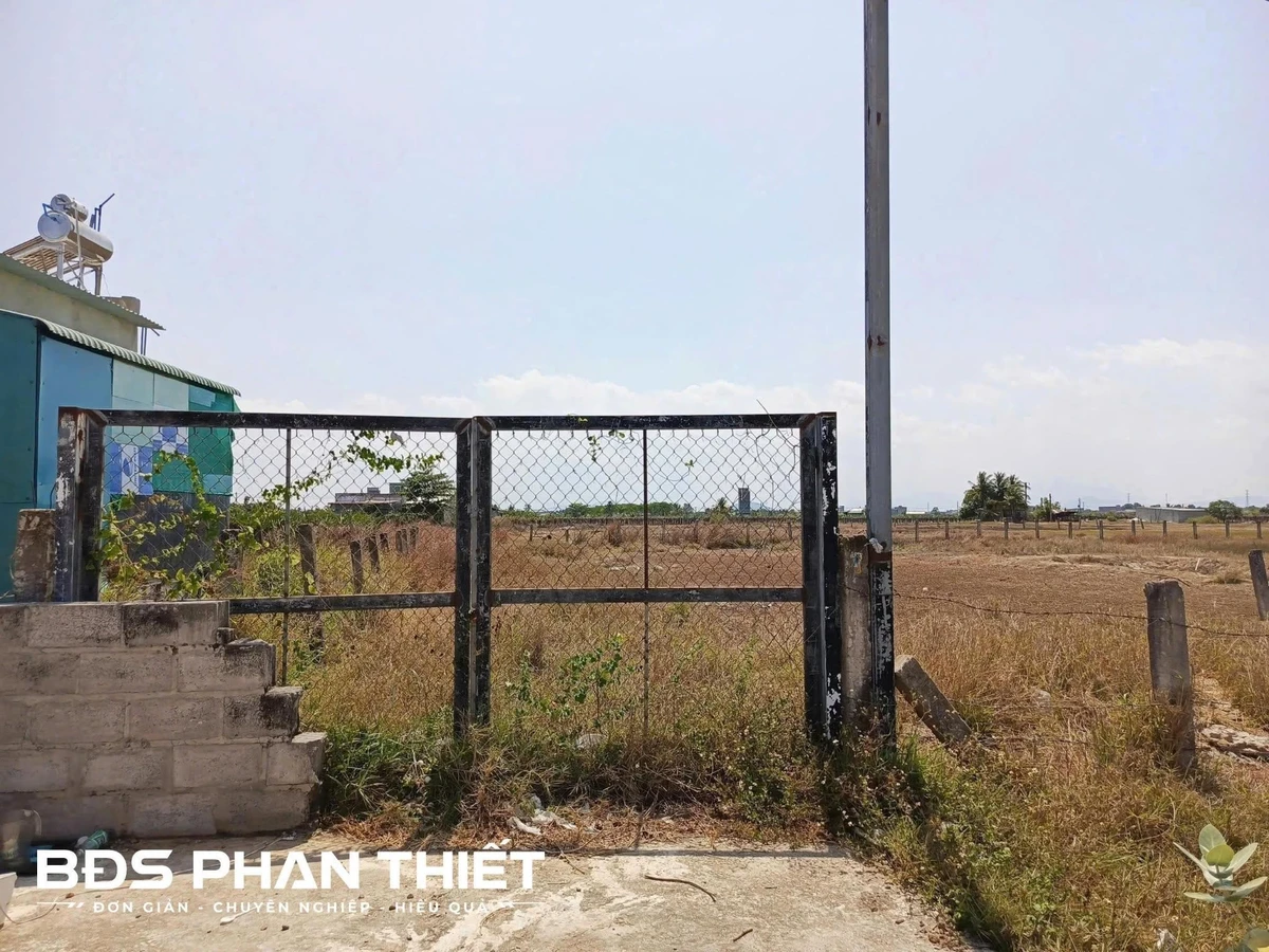 Bán đất mặt tiền 1.000m² Bình Thuận - 1 tỷ 250 triệu - Ảnh thu nhỏ 3