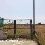 Bán đất mặt tiền 1.000m² Bình Thuận - 1 tỷ 250 triệu - Ảnh thu nhỏ 3