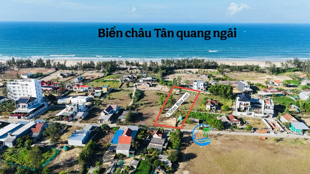 Bán đất biển Châu Tân Quảng Ngãi 9000m2, giá 3tr/m2 - Ảnh thu nhỏ 2