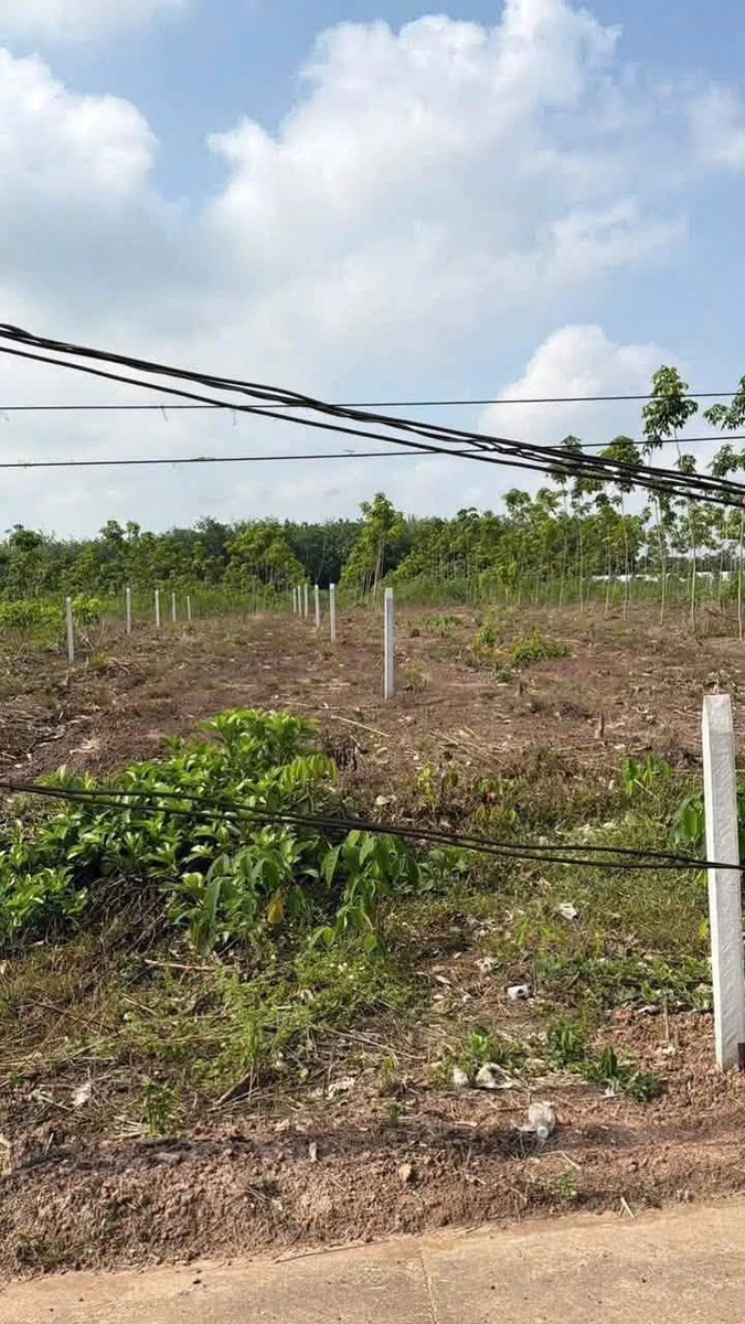 Bán đất Phước Thành Nhà Bè 250m2, giá 420 triệu - Ảnh thu nhỏ 2