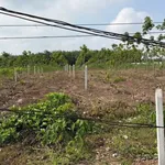 Bán đất Phước Thành Nhà Bè 250m2, giá 420 triệu - Ảnh thu nhỏ 2