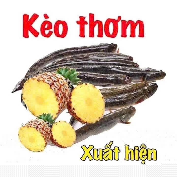 Bán nền đất Phú Hưng Bến Tre 108m² 195 triệu - Ảnh 1