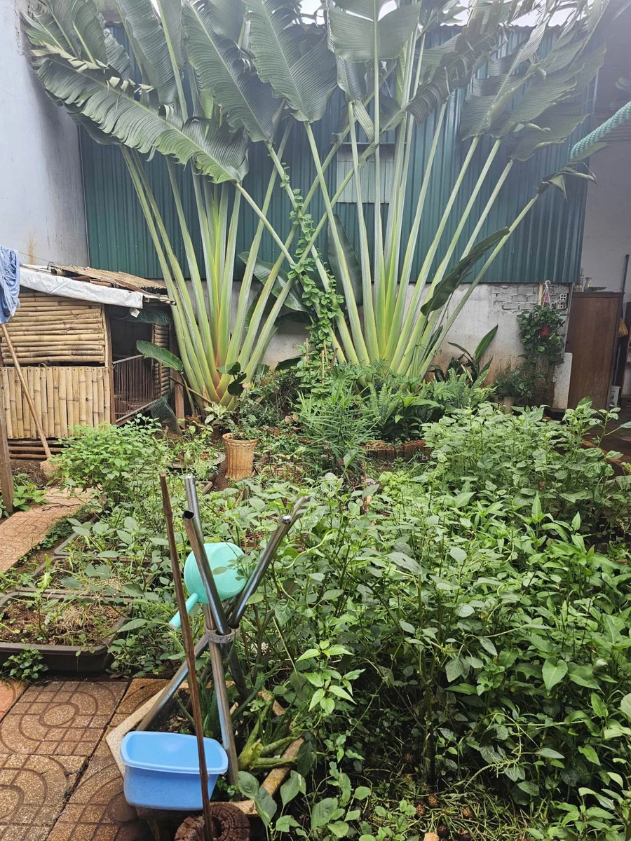 Bán nhà mặt tiền Đồng Khởi 60m² 3PN, 7 tỷ 5 Quận 1 - Ảnh thu nhỏ 5