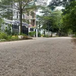 Bán biệt thự 300m² mặt tiền 20m tại KĐT Hà Phong Mê Linh - Ảnh thu nhỏ 2
