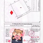 Bán đất sổ hồng riêng 2100m2 Tân Hạnh, Bình Chánh - Ảnh thu nhỏ 1
