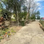 Bán đất 163,5m2 Phường Phong Điền, TP Huế, giá 490 triệu - Ảnh thu nhỏ 2